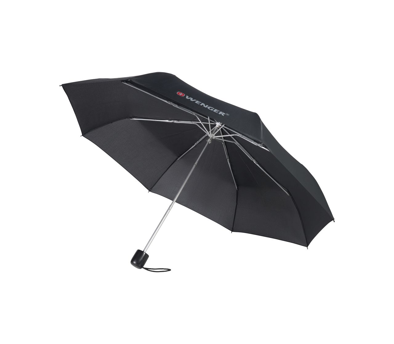 Large Umbrella-611887